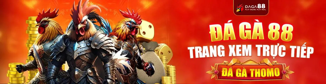 Đá gà trực tuyến 23wim chính thức